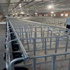 Gestation Crate