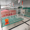 Farrowing Crate