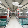 Farrowing Crate
