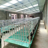 Gestation Crate