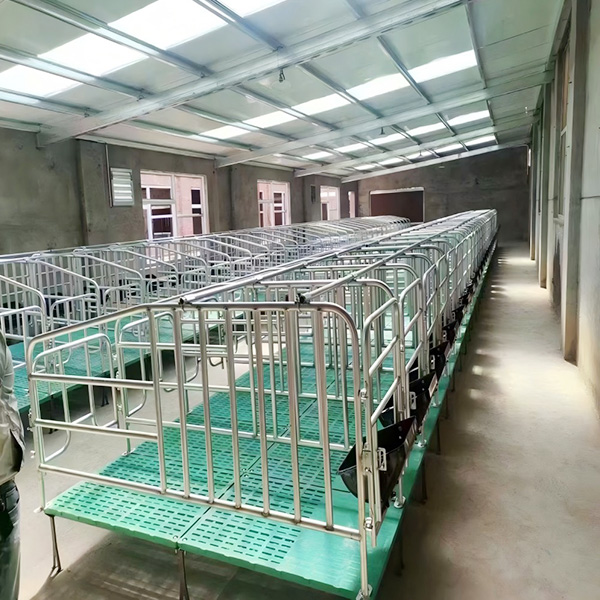 Gestation Crate
