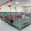 Farrowing Crate