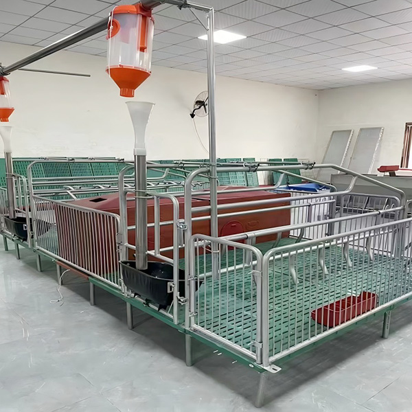 Farrowing Crate
